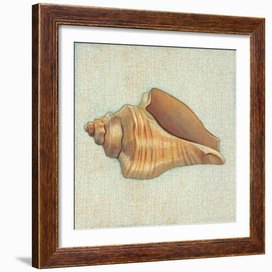 Coastal Treasures II-Josefina-Framed Art Print