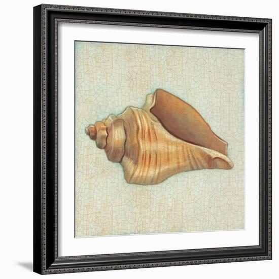 Coastal Treasures II-Josefina-Framed Art Print