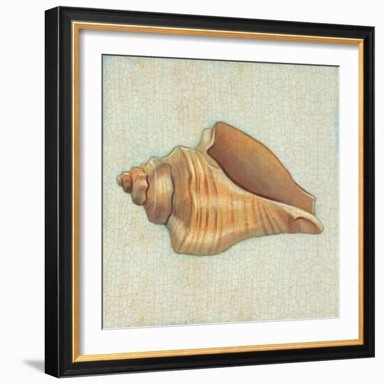 Coastal Treasures II-Josefina-Framed Art Print