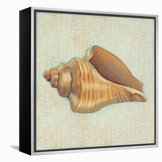 Coastal Treasures II-Josefina-Framed Stretched Canvas