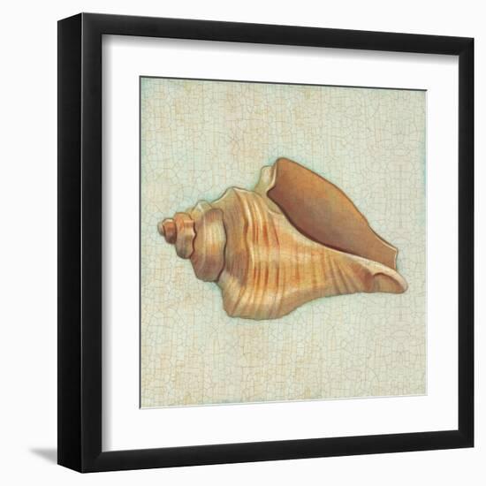 Coastal Treasures II-Josefina-Framed Art Print