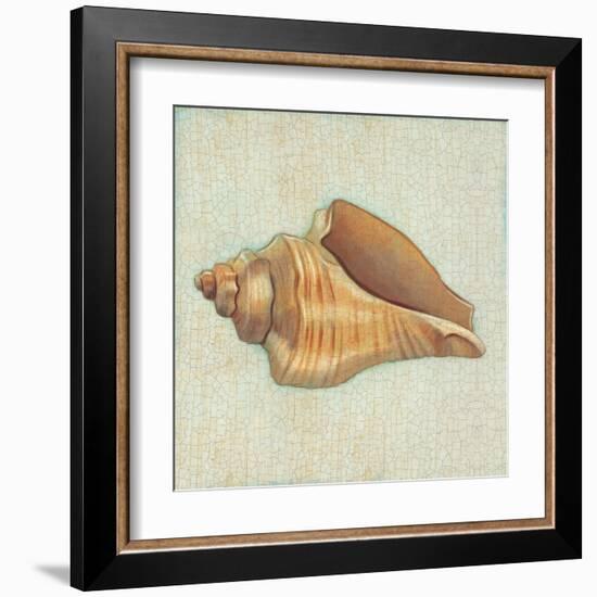 Coastal Treasures II-Josefina-Framed Art Print