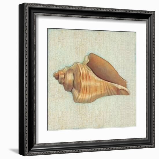 Coastal Treasures II-Josefina-Framed Art Print