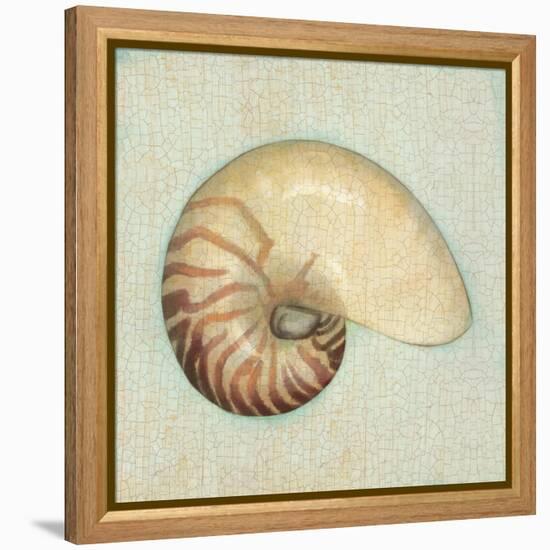 Coastal Treasures III-Josefina-Framed Stretched Canvas