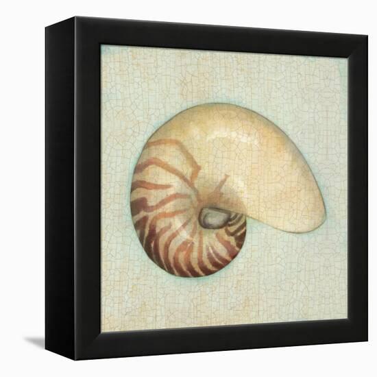 Coastal Treasures III-Josefina-Framed Stretched Canvas