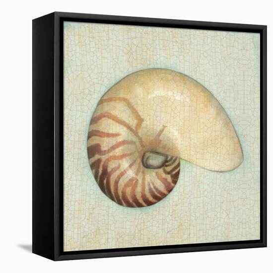 Coastal Treasures III-Josefina-Framed Stretched Canvas