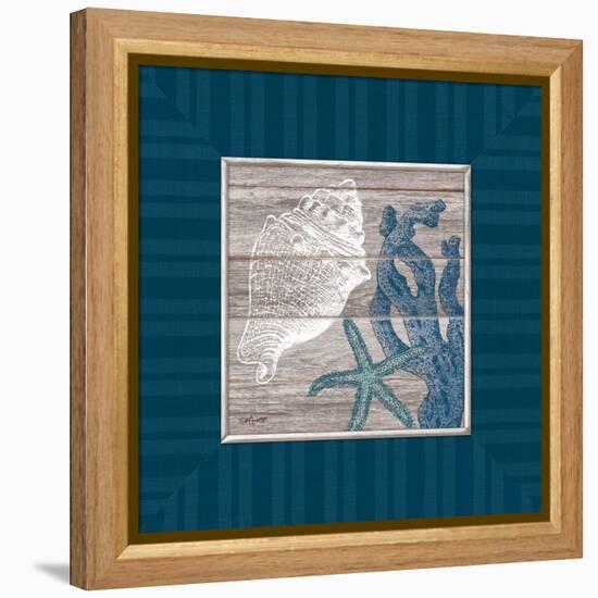 Coastal Treasures-Sam Appleman-Framed Stretched Canvas