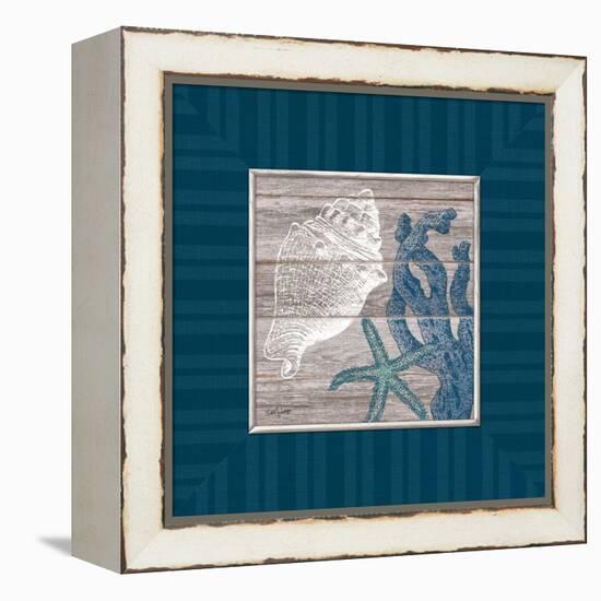 Coastal Treasures-Sam Appleman-Framed Stretched Canvas