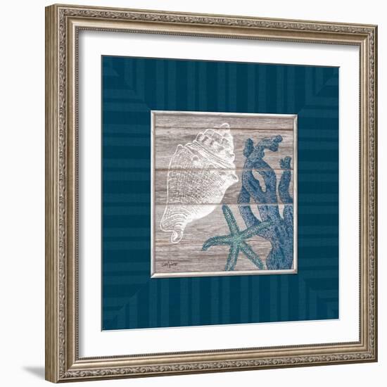 Coastal Treasures-Sam Appleman-Framed Art Print