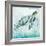 Coastal Turtle I-Janet Tava-Framed Art Print