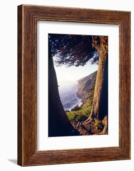 Coastal View at Ragged Point, Big Sur, California-George Oze-Framed Photographic Print