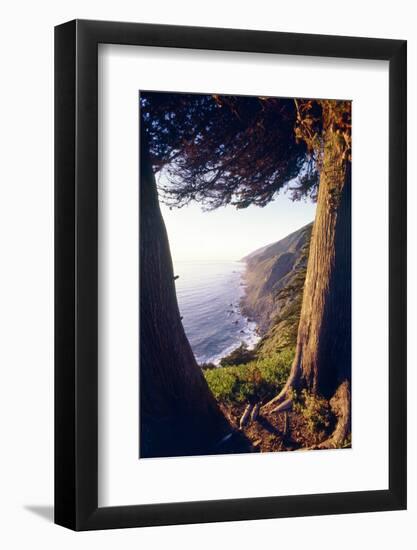 Coastal View at Ragged Point, Big Sur, California-George Oze-Framed Photographic Print