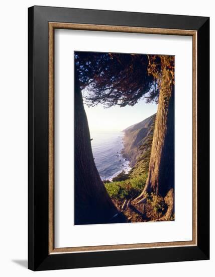 Coastal View at Ragged Point, Big Sur, California-George Oze-Framed Photographic Print