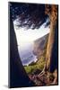Coastal View at Ragged Point, Big Sur, California-George Oze-Mounted Photographic Print