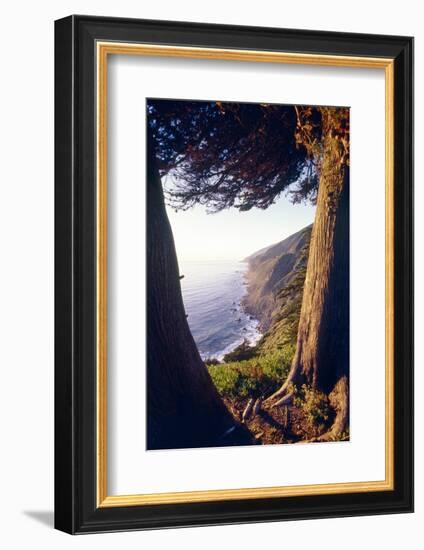 Coastal View at Ragged Point, Big Sur, California-George Oze-Framed Photographic Print