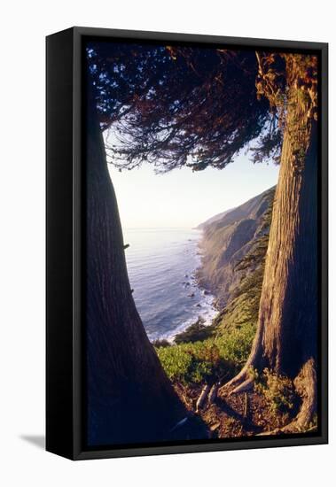 Coastal View at Ragged Point, Big Sur, California-George Oze-Framed Premier Image Canvas