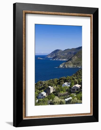 Coastal View of Pino, Le Cap Corse, Corsica, France-Walter Bibikow-Framed Photographic Print