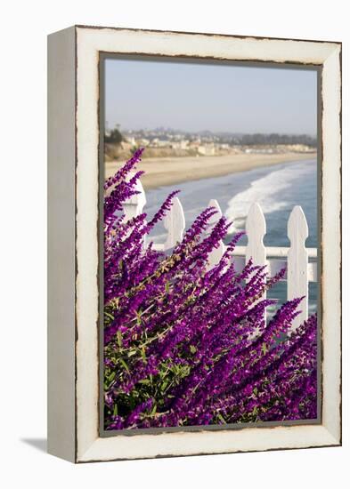 Coastal View with Flowers and Fence, Pismo Beach, California, USA-Cindy Miller Hopkins-Framed Premier Image Canvas