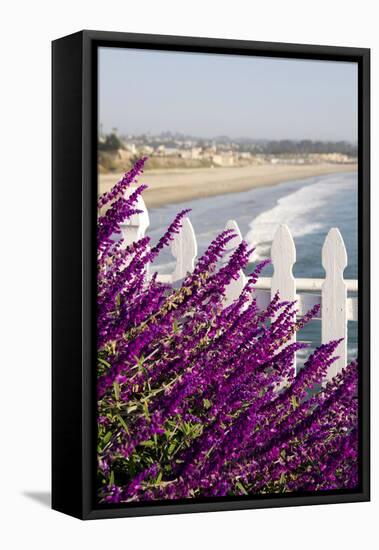 Coastal View with Flowers and Fence, Pismo Beach, California, USA-Cindy Miller Hopkins-Framed Premier Image Canvas