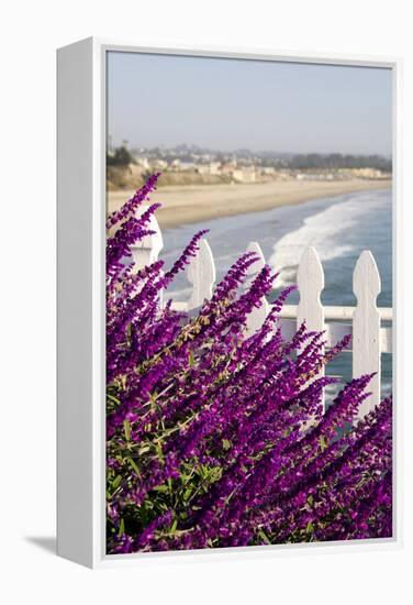 Coastal View with Flowers and Fence, Pismo Beach, California, USA-Cindy Miller Hopkins-Framed Premier Image Canvas