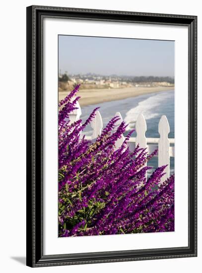 Coastal View with Flowers and Fence, Pismo Beach, California, USA-Cindy Miller Hopkins-Framed Photographic Print