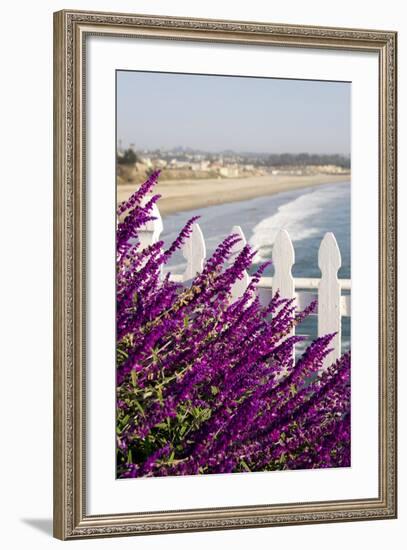 Coastal View with Flowers and Fence, Pismo Beach, California, USA-Cindy Miller Hopkins-Framed Photographic Print