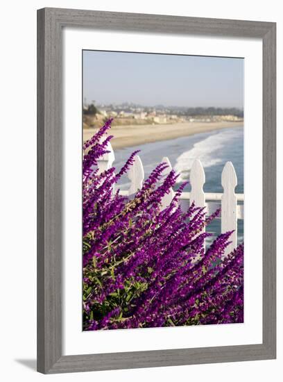 Coastal View with Flowers and Fence, Pismo Beach, California, USA-Cindy Miller Hopkins-Framed Photographic Print