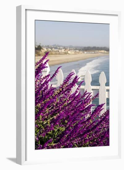 Coastal View with Flowers and Fence, Pismo Beach, California, USA-Cindy Miller Hopkins-Framed Photographic Print