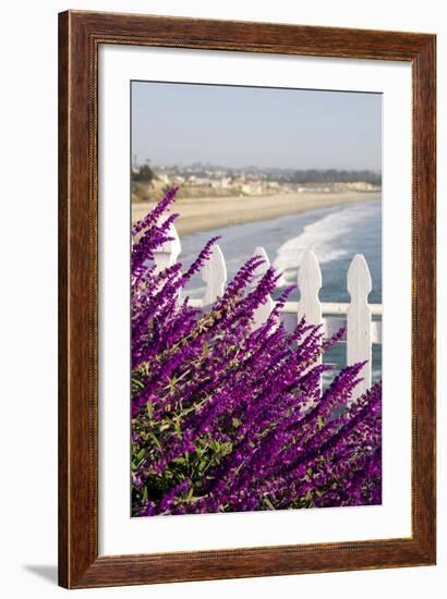 Coastal View with Flowers and Fence, Pismo Beach, California, USA-Cindy Miller Hopkins-Framed Photographic Print