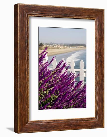 Coastal View with Flowers and Fence, Pismo Beach, California, USA-Cindy Miller Hopkins-Framed Photographic Print