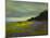 Coastal Views VI-Sheila Finch-Mounted Art Print