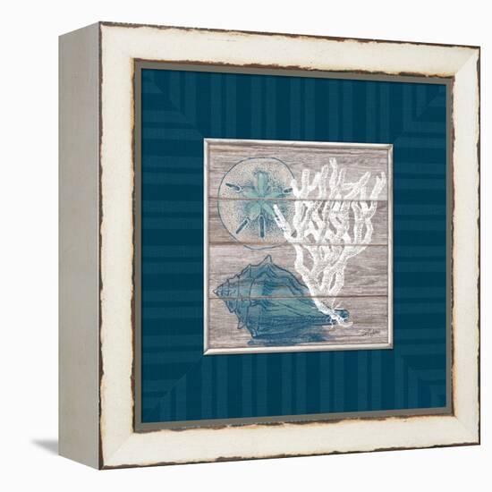 Coastal Wonders-Sam Appleman-Framed Stretched Canvas