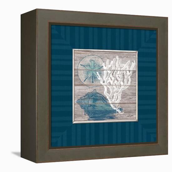 Coastal Wonders-Sam Appleman-Framed Stretched Canvas