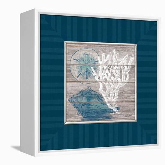 Coastal Wonders-Sam Appleman-Framed Stretched Canvas