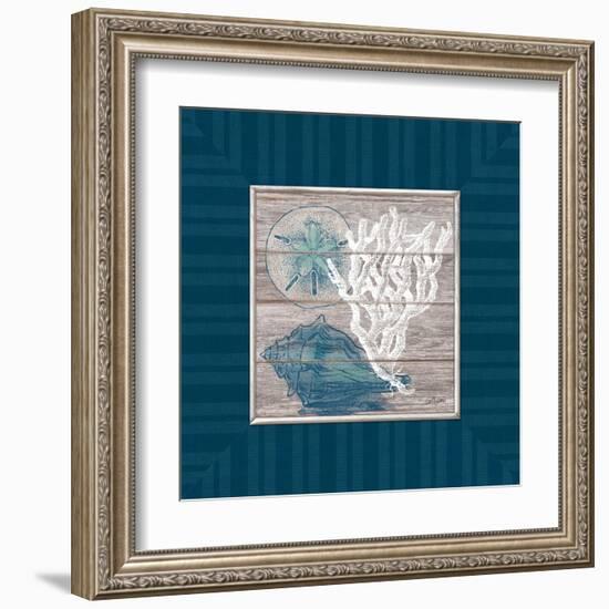 Coastal Wonders-Sam Appleman-Framed Art Print