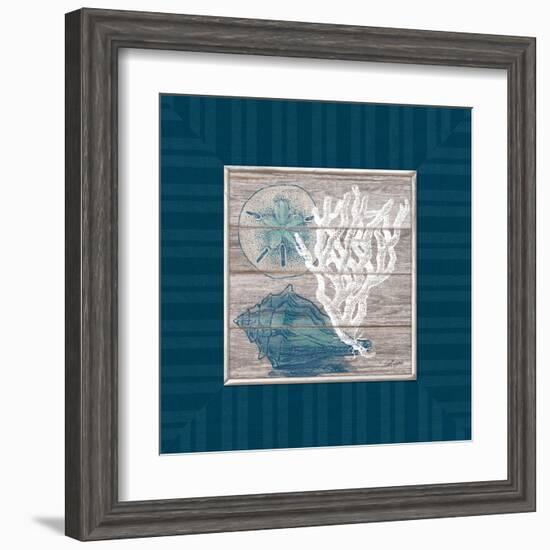 Coastal Wonders-Sam Appleman-Framed Art Print