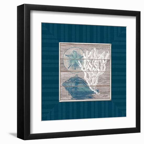 Coastal Wonders-Sam Appleman-Framed Art Print