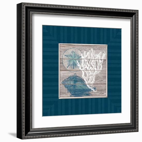 Coastal Wonders-Sam Appleman-Framed Art Print