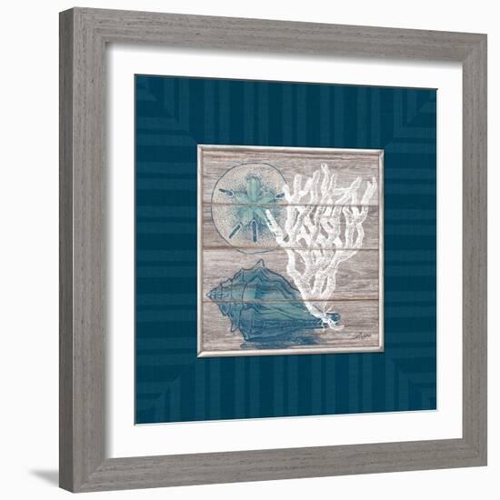 Coastal Wonders-Sam Appleman-Framed Art Print