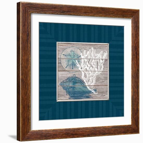 Coastal Wonders-Sam Appleman-Framed Art Print