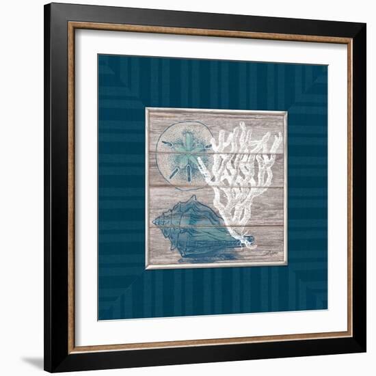 Coastal Wonders-Sam Appleman-Framed Art Print