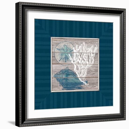 Coastal Wonders-Sam Appleman-Framed Art Print