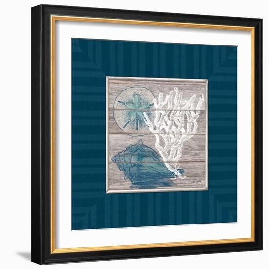 Coastal Wonders-Sam Appleman-Framed Art Print