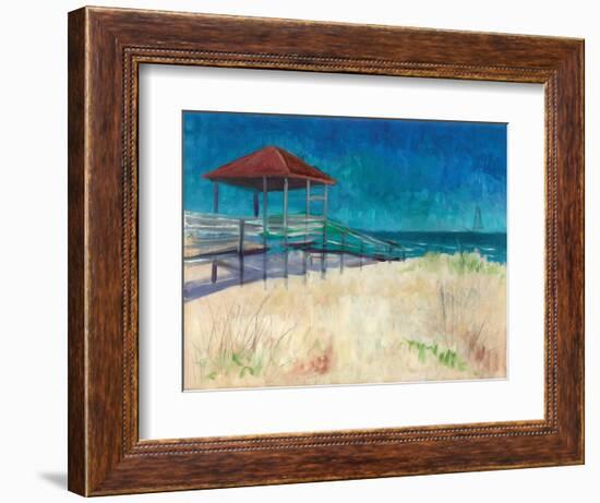 Coastal-Todd Williams-Framed Art Print