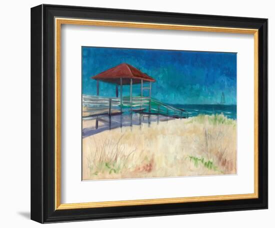 Coastal-Todd Williams-Framed Art Print