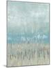 Coastline Abstraction II-Jennifer Goldberger-Mounted Premium Giclee Print