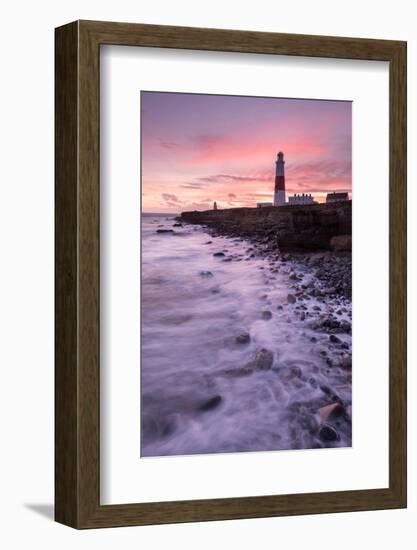 Coastline and Portland Bill Lighthouse at sunset, UK-Ross Hoddinott-Framed Photographic Print