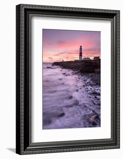 Coastline and Portland Bill Lighthouse at sunset, UK-Ross Hoddinott-Framed Photographic Print