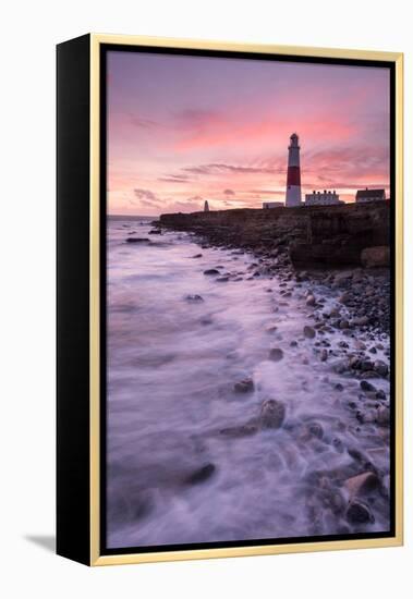 Coastline and Portland Bill Lighthouse at sunset, UK-Ross Hoddinott-Framed Premier Image Canvas