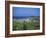 Coastline at Alykes and Alykanas, Zakynthos, Ionian Islands, Greek Islands, Greece, Europe-Lightfoot Jeremy-Framed Photographic Print